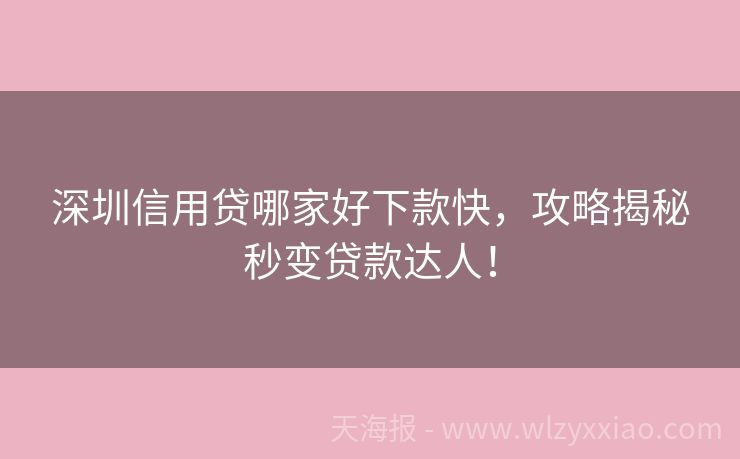 深圳信用贷哪家好下款快，攻略揭秘秒变贷款达人！