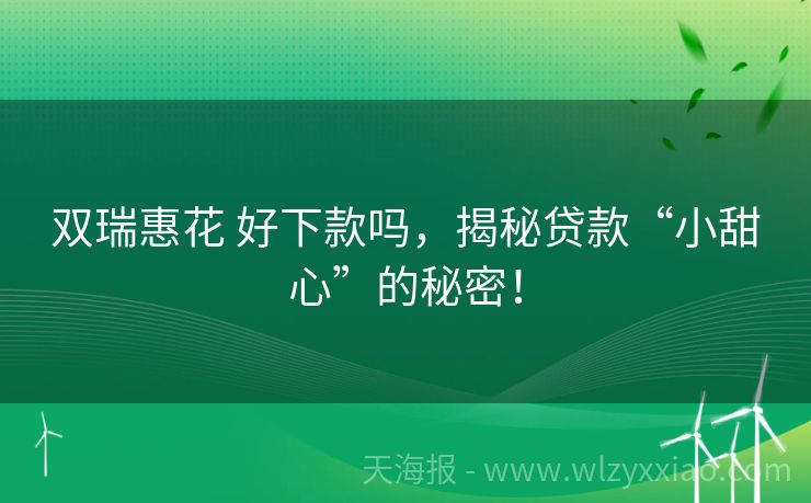 双瑞惠花 好下款吗，揭秘贷款“小甜心”的秘密！