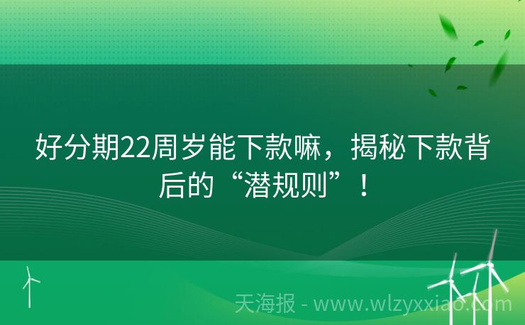 好分期22周岁能下款嘛，揭秘下款背后的“潜规则”！