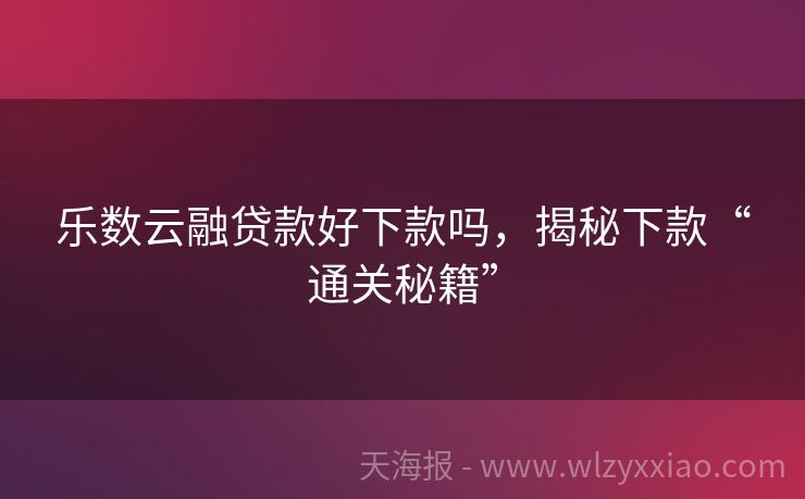 乐数云融贷款好下款吗，揭秘下款“通关秘籍”