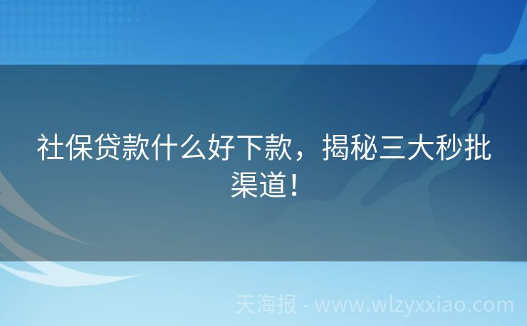 社保贷款什么好下款，揭秘三大秒批渠道！