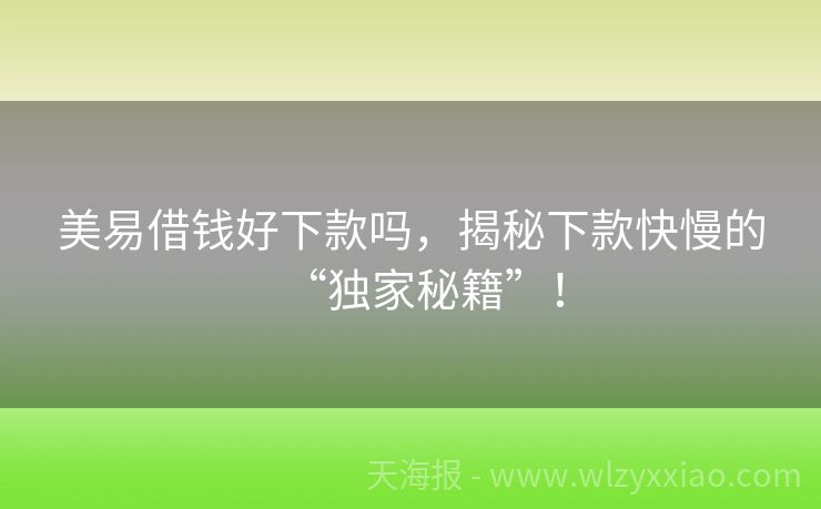 美易借钱好下款吗，揭秘下款快慢的“独家秘籍”！
