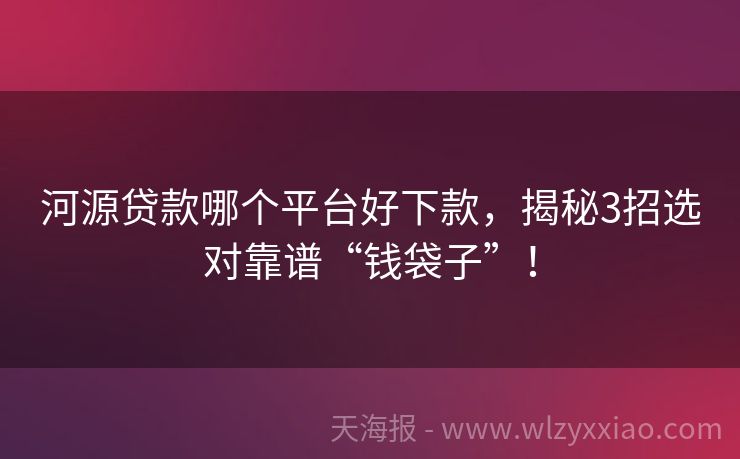 河源贷款哪个平台好下款，揭秘3招选对靠谱“钱袋子”！
