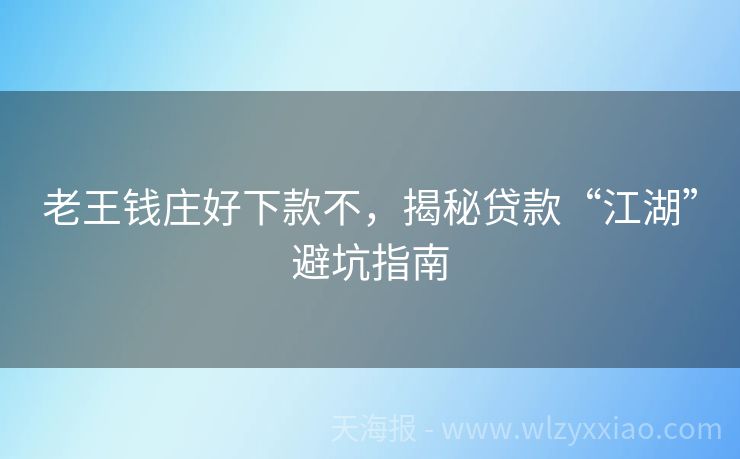老王钱庄好下款不，揭秘贷款“江湖”避坑指南