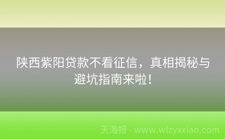 陕西紫阳贷款不看征信，真相揭秘与避坑指南来啦！