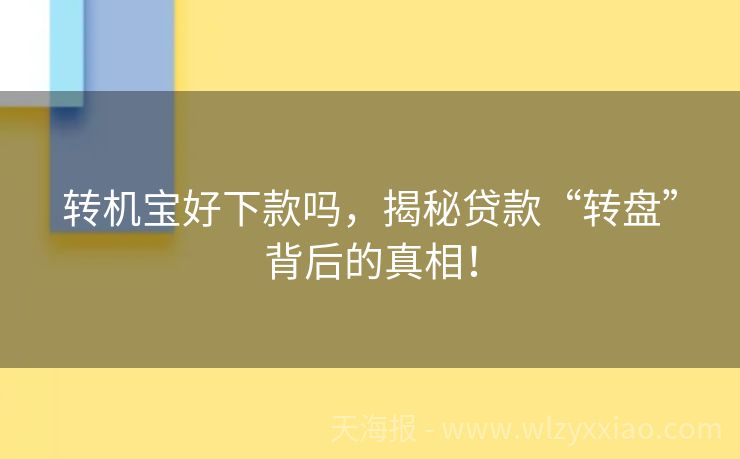转机宝好下款吗，揭秘贷款“转盘”背后的真相！