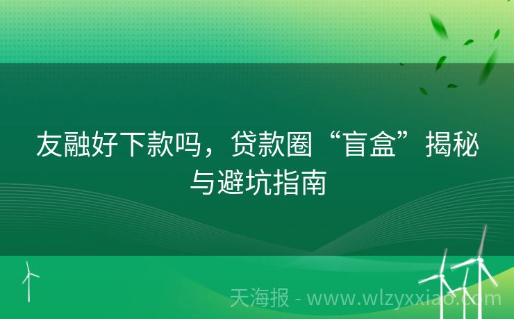 友融好下款吗，贷款圈“盲盒”揭秘与避坑指南