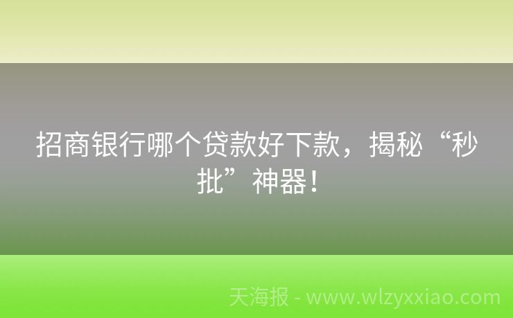 招商银行哪个贷款好下款，揭秘“秒批”神器！