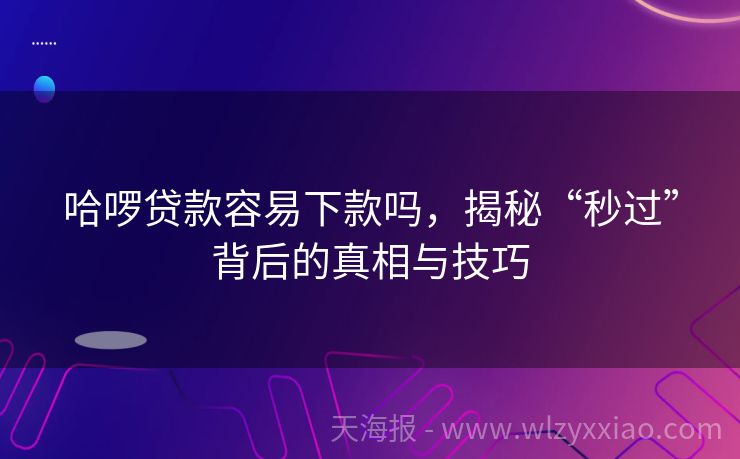 哈啰贷款容易下款吗，揭秘“秒过”背后的真相与技巧