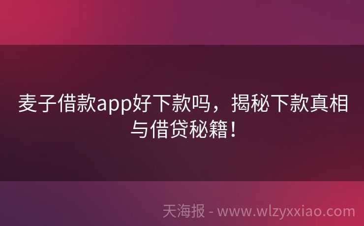 麦子借款app好下款吗，揭秘下款真相与借贷秘籍！