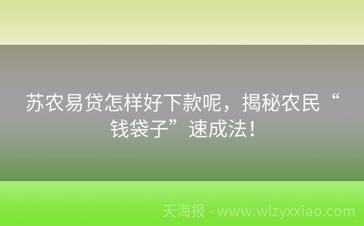 苏农易贷怎样好下款呢，揭秘农民“钱袋子”速成法！