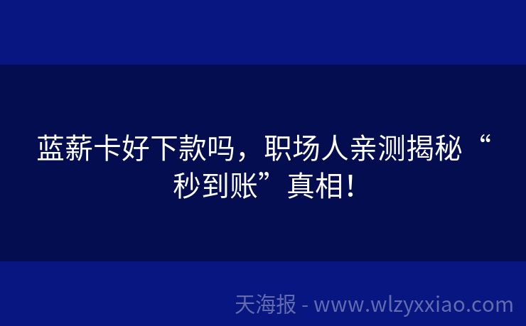蓝薪卡好下款吗，职场人亲测揭秘“秒到账”真相！