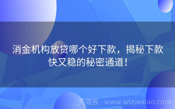 消金机构放贷哪个好下款，揭秘下款快又稳的秘密通道！