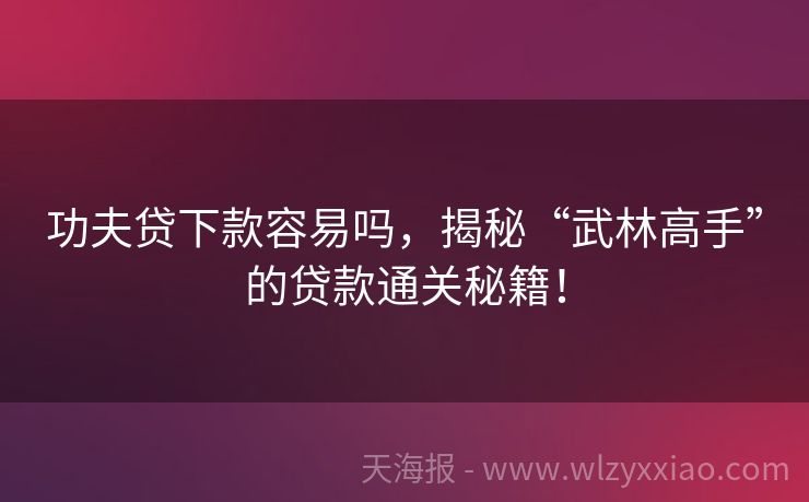 功夫贷下款容易吗，揭秘“武林高手”的贷款通关秘籍！