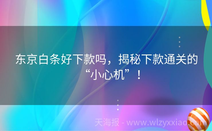 东京白条好下款吗，揭秘下款通关的“小心机”！
