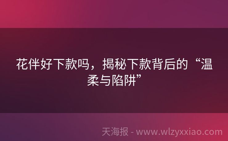 花伴好下款吗，揭秘下款背后的“温柔与陷阱”