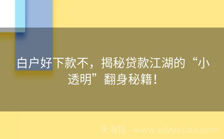 白户好下款不，揭秘贷款江湖的“小透明”翻身秘籍！