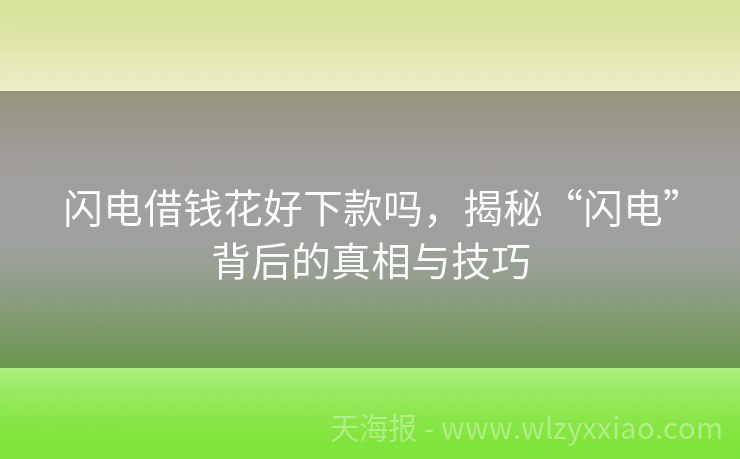 闪电借钱花好下款吗，揭秘“闪电”背后的真相与技巧