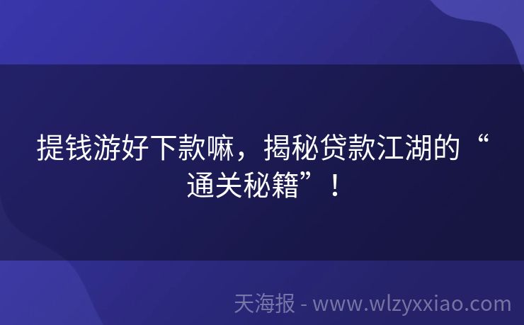 提钱游好下款嘛，揭秘贷款江湖的“通关秘籍”！