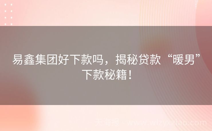 易鑫集团好下款吗，揭秘贷款“暖男”下款秘籍！
