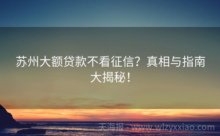 苏州大额贷款不看征信？真相与指南大揭秘！