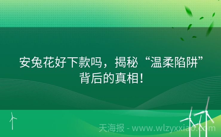 安兔花好下款吗，揭秘“温柔陷阱”背后的真相！
