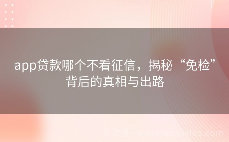 app贷款哪个不看征信，揭秘“免检”背后的真相与出路