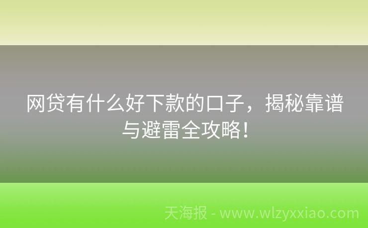 网贷有什么好下款的口子，揭秘靠谱与避雷全攻略！
