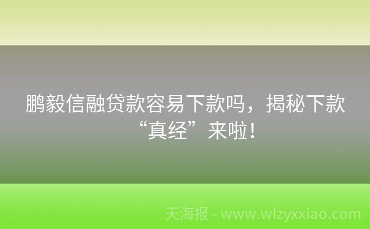 鹏毅信融贷款容易下款吗，揭秘下款“真经”来啦！