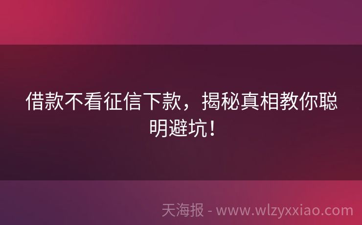 借款不看征信下款，揭秘真相教你聪明避坑！