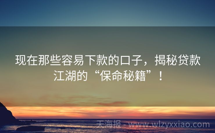 现在那些容易下款的口子，揭秘贷款江湖的“保命秘籍”！
