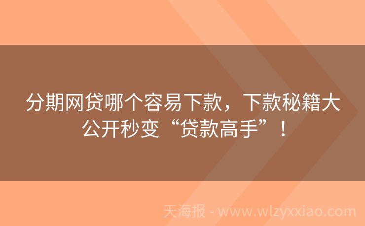分期网贷哪个容易下款，下款秘籍大公开秒变“贷款高手”！