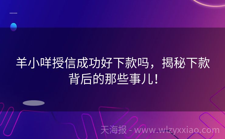 羊小咩授信成功好下款吗，揭秘下款背后的那些事儿！