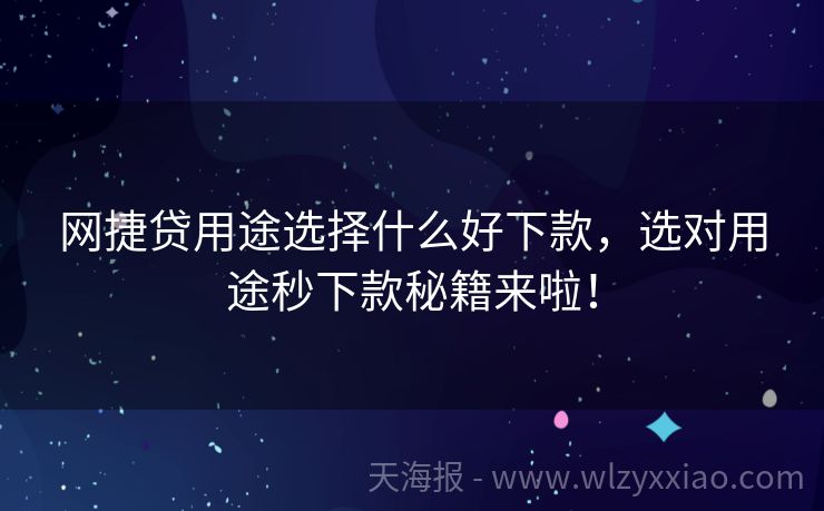 网捷贷用途选择什么好下款，选对用途秒下款秘籍来啦！