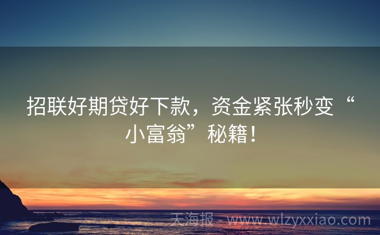 招联好期贷好下款，资金紧张秒变“小富翁”秘籍！