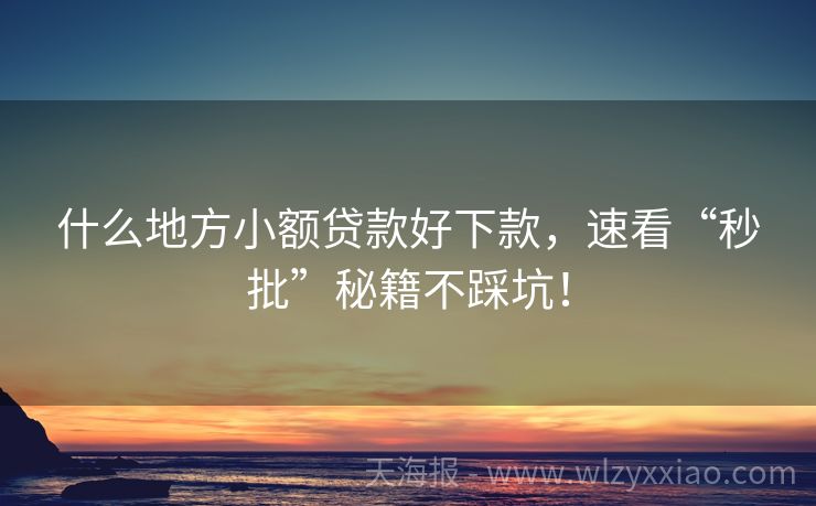 什么地方小额贷款好下款，速看“秒批”秘籍不踩坑！