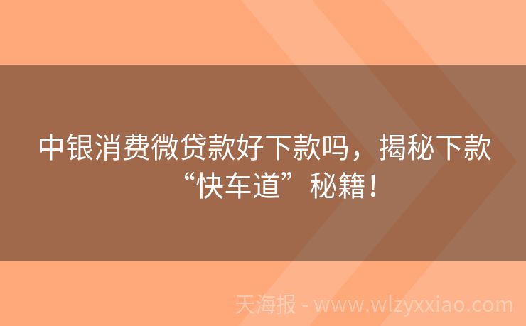 中银消费微贷款好下款吗，揭秘下款“快车道”秘籍！