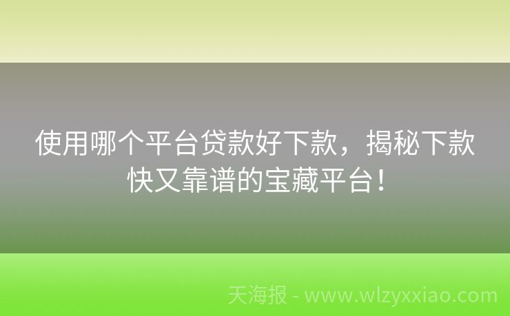 使用哪个平台贷款好下款，揭秘下款快又靠谱的宝藏平台！