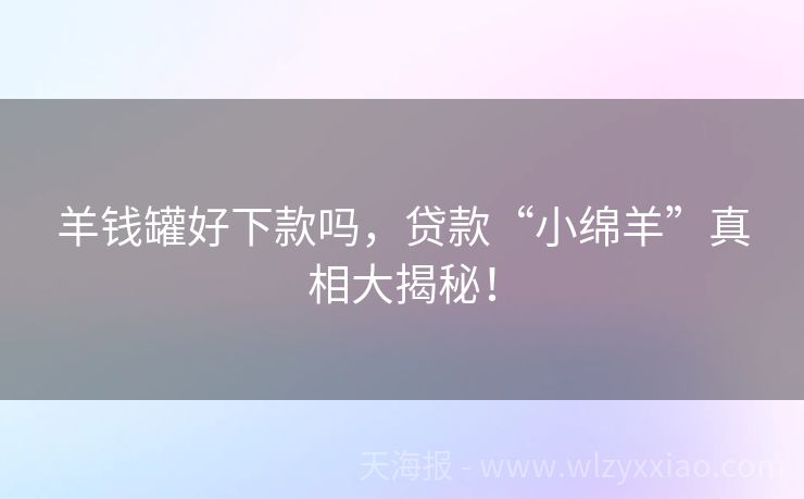 羊钱罐好下款吗，贷款“小绵羊”真相大揭秘！
