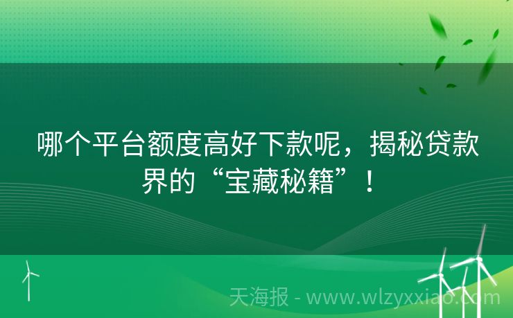 哪个平台额度高好下款呢，揭秘贷款界的“宝藏秘籍”！