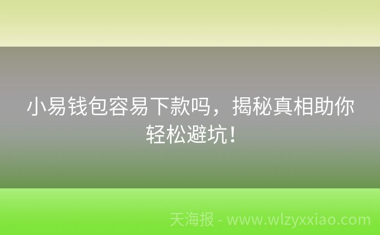 小易钱包容易下款吗，揭秘真相助你轻松避坑！