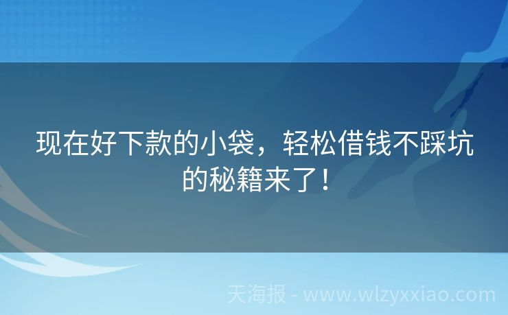 现在好下款的小袋，轻松借钱不踩坑的秘籍来了！