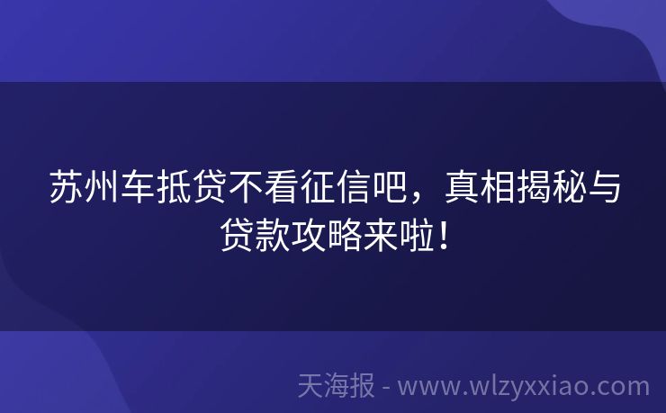 苏州车抵贷不看征信吧，真相揭秘与贷款攻略来啦！