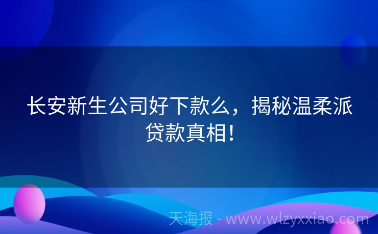 长安新生公司好下款么，揭秘温柔派贷款真相！