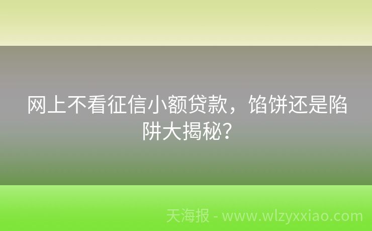 网上不看征信小额贷款，馅饼还是陷阱大揭秘？