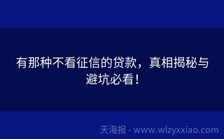 有那种不看征信的贷款，真相揭秘与避坑必看！
