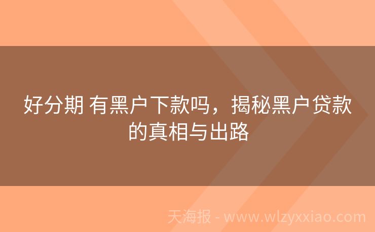 好分期 有黑户下款吗，揭秘黑户贷款的真相与出路