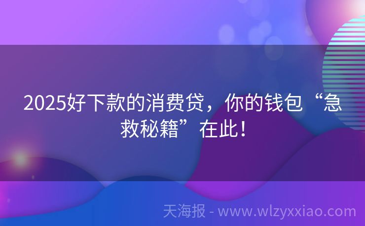2025好下款的消费贷，你的钱包“急救秘籍”在此！