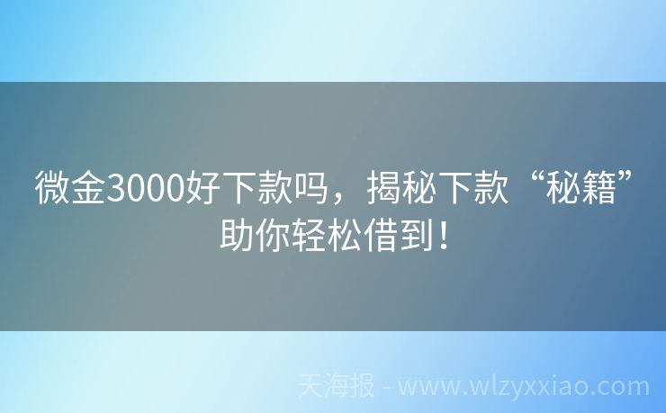 微金3000好下款吗，揭秘下款“秘籍”助你轻松借到！
