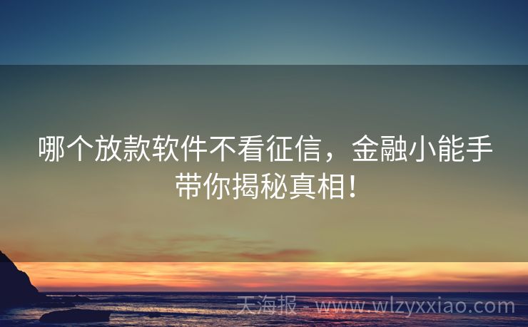 哪个放款软件不看征信，金融小能手带你揭秘真相！